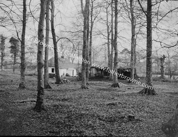 COTTAGE IN WOOD